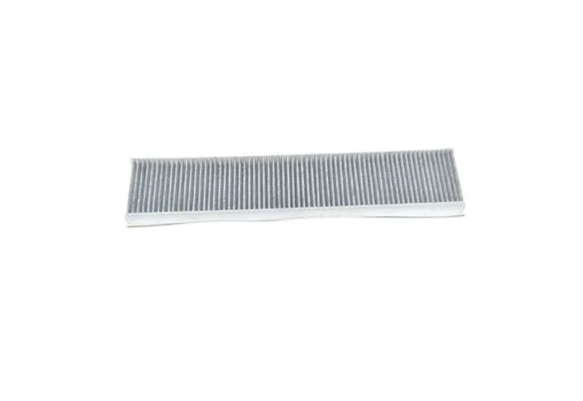C2S8622 C2S16861 Polen Filtresi Filtron