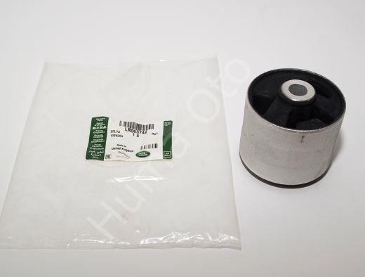 Salıncak Burcu LR063744