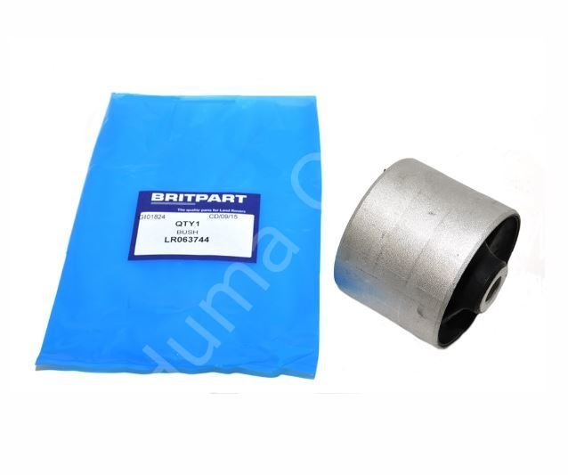 Salıncak Burcu LR063744