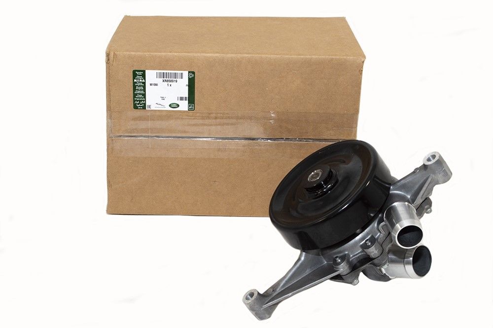 XR858919 C2C38862 Devridaim Su Pompası Orijinal